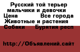 Русский той-терьер мальчики и девочки › Цена ­ 8 000 - Все города Животные и растения » Собаки   . Бурятия респ.